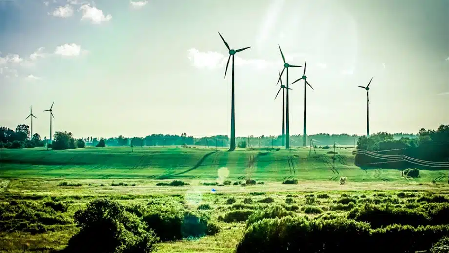 Improve sustainability
