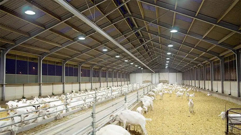 Better Health Through LED Light