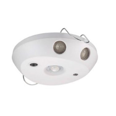 Signify Dynalite DUS804CS-UP