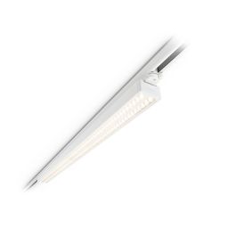 Philips StoreSet Linear SM504T wit op rail