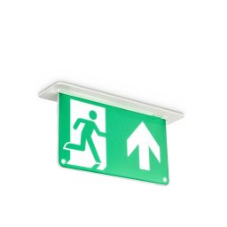 Philips Ausgangsplatte EM155C / EM159C Philips EM159C uitgangsbord voor noodverlichting