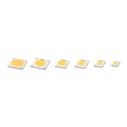 Philips Fortimo SLM Gen 8 HE – Food, familieoverzicht van puntvormige LED-modules in verschillende formaten